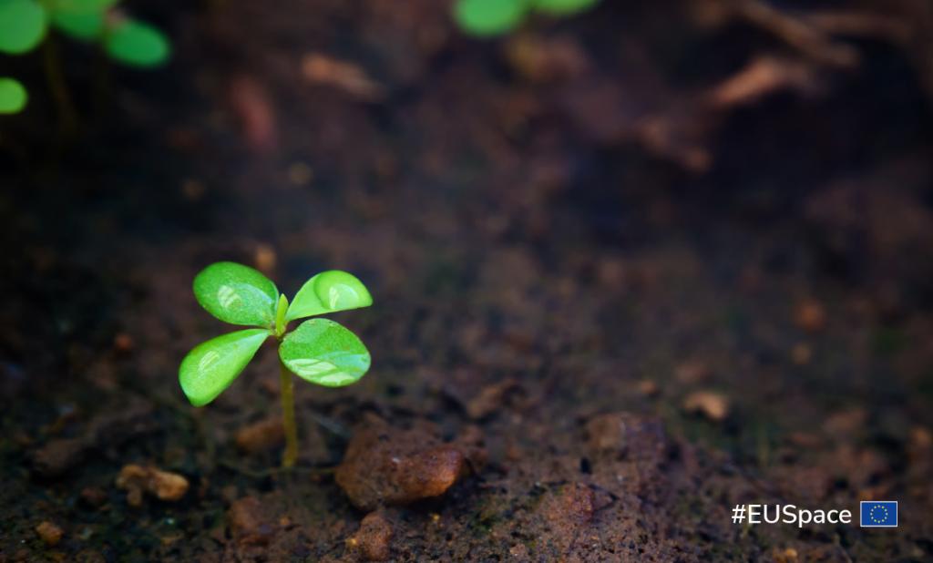 EU Space plays a key role in the restoration and preservation of healthy soils as part of the fight against climate change.